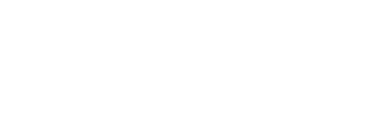Houdini Swap